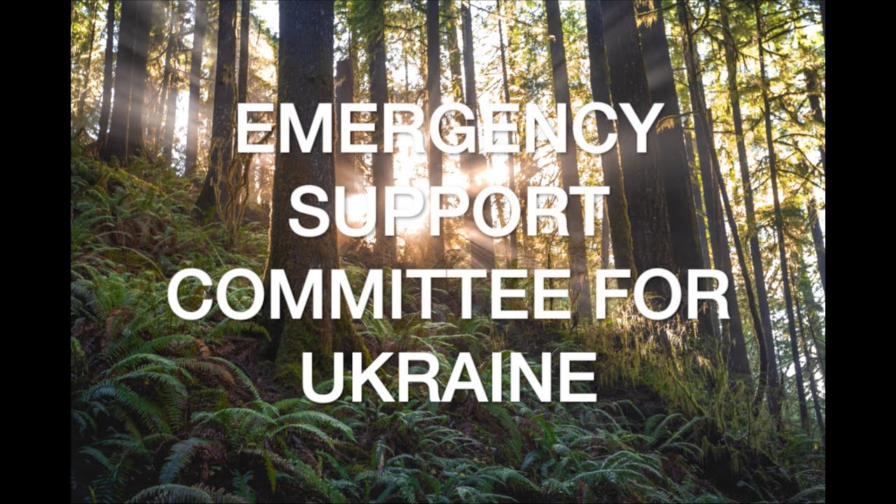 ABP Emergency Support Committees for Ukraine