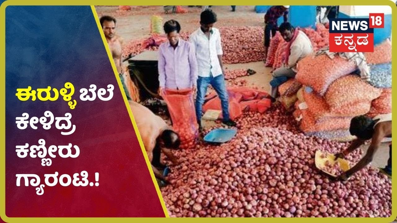 ಗಗನಕ್ಕೇರಿದ ಈರುಳ್ಳಿ ಬೆಲೆ; ಎಷ್ಟಿದೆ ಗೊತ್ತಾ ಒಂದು KG Onion Price?