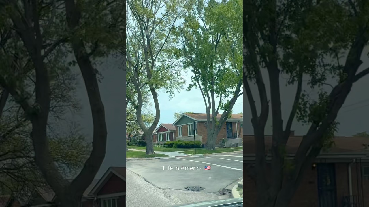 Life in America, north Chicago  , Illinois #usa #life #usa #usashorts #il