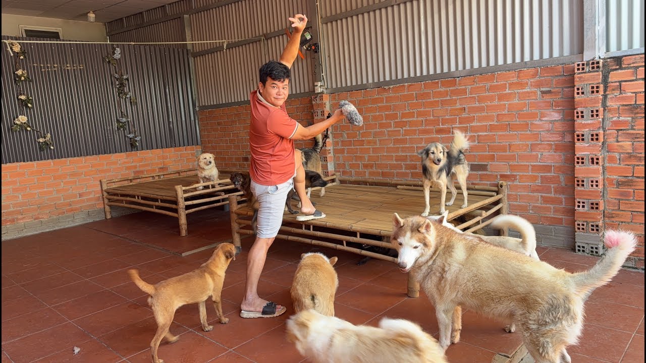 Còn 2 tuần nữa Tết rồi sau , tuy năm nay em lớn nhưng vẫn thích 🧧