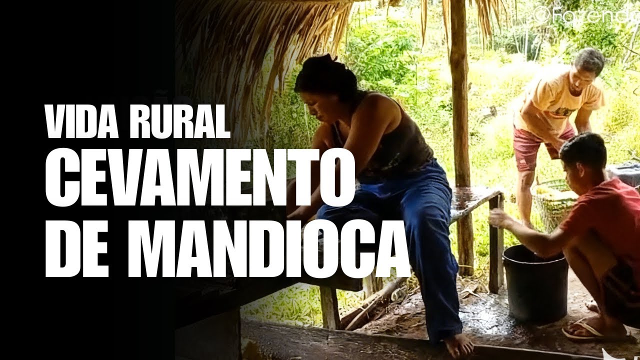 DA RAIZ À MASSA 🔥 O Verdadeiro Cevamento da Mandioca na Casa de Farinha
