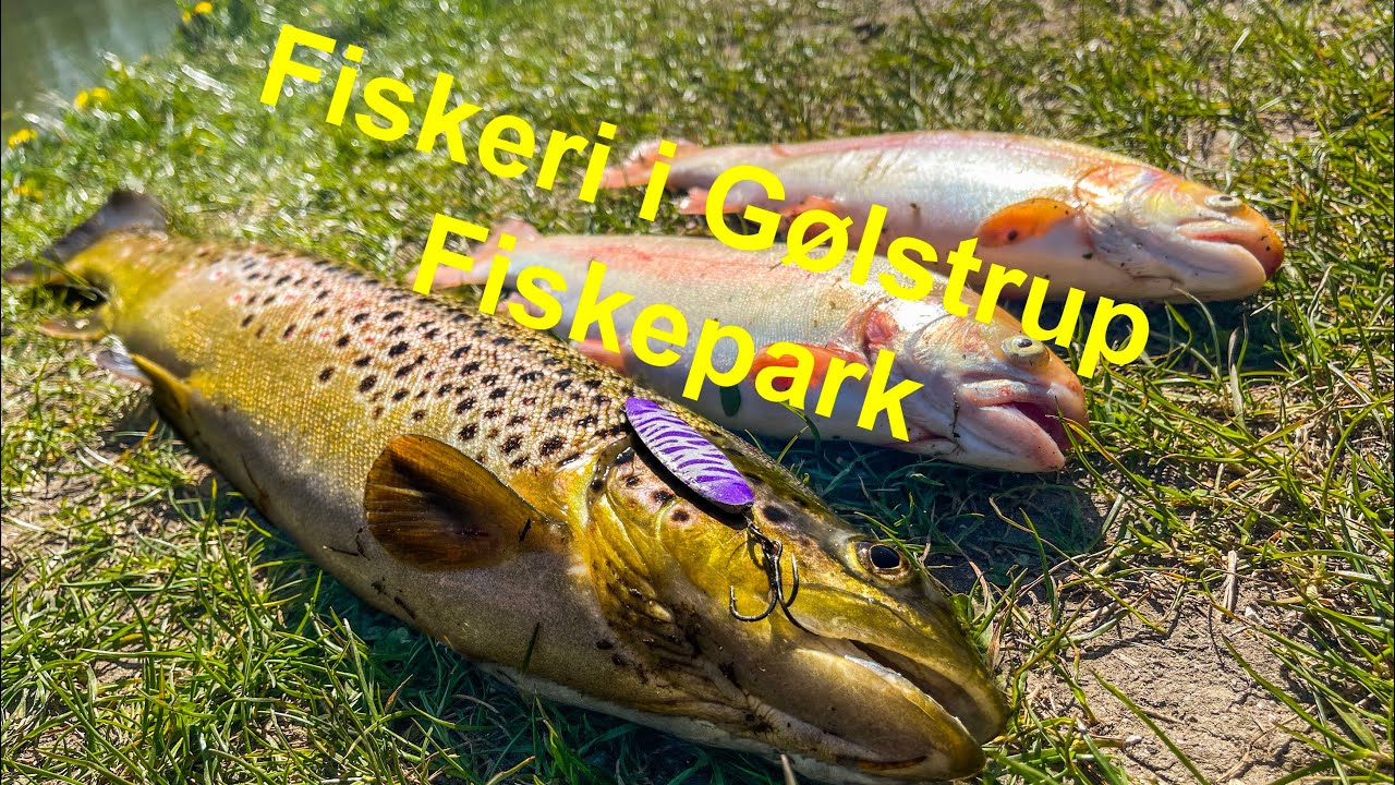 Put and take fiskeri i Gølstrup Fiskepark