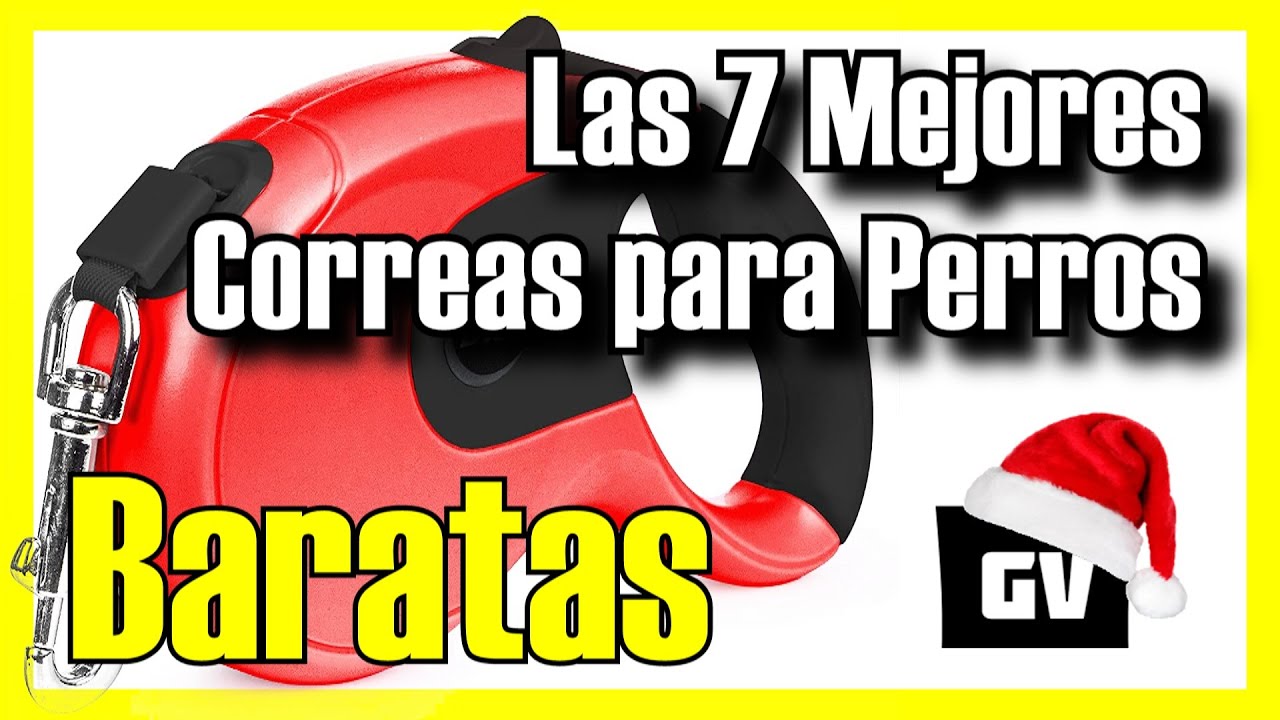 🐶🚶 Las 7 MEJORES Correas para Perros BARATAS de Amazon [2025]✅[Calidad/Precio] Pequeños y Grandes