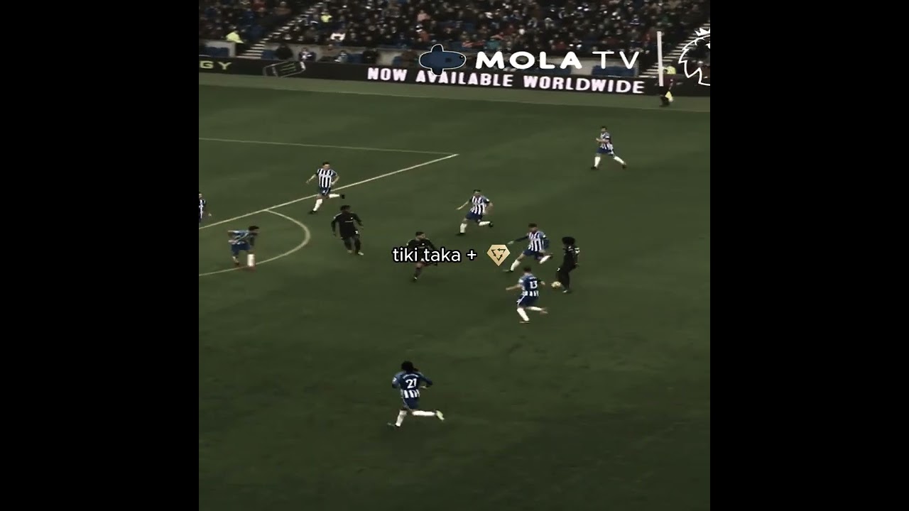 Tiki Taka +