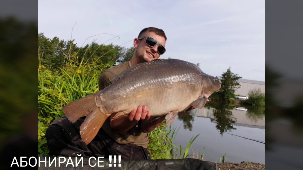 10кг. Сом на черен дроб + 7кг. гол шаран