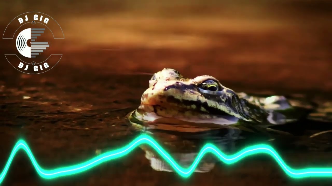EuroDance Mexico AI Music Relaxing Videos