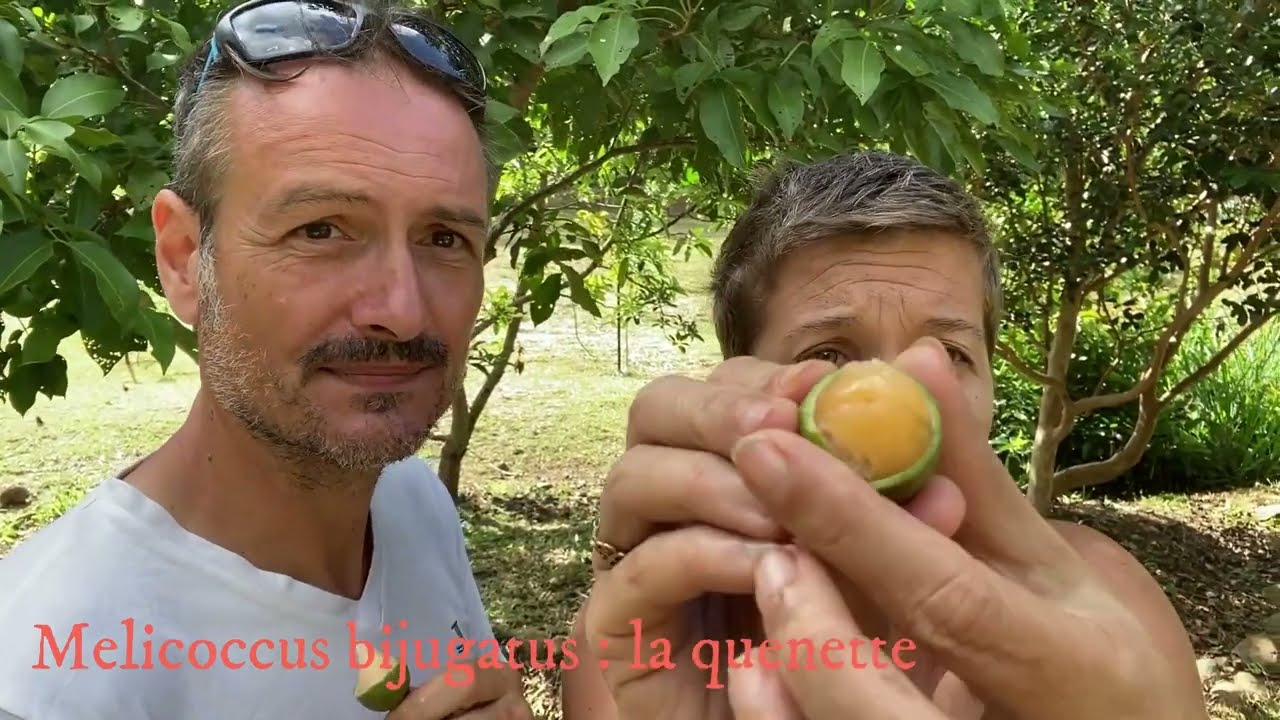 La quenette