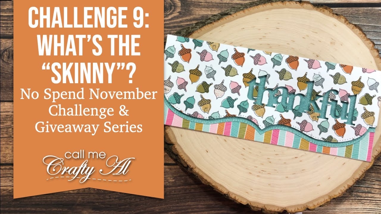 Challenge 9 | No Spend November | What's the Skinny?