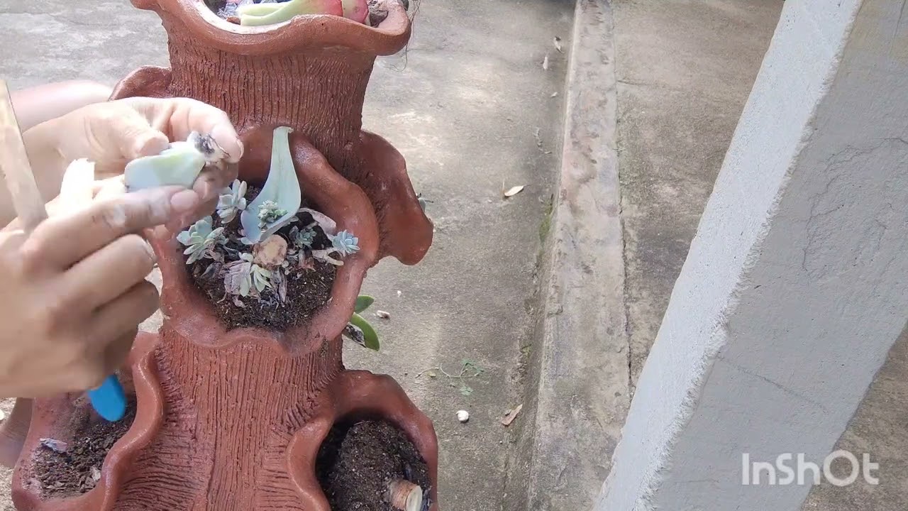refazendo arranjos de barro