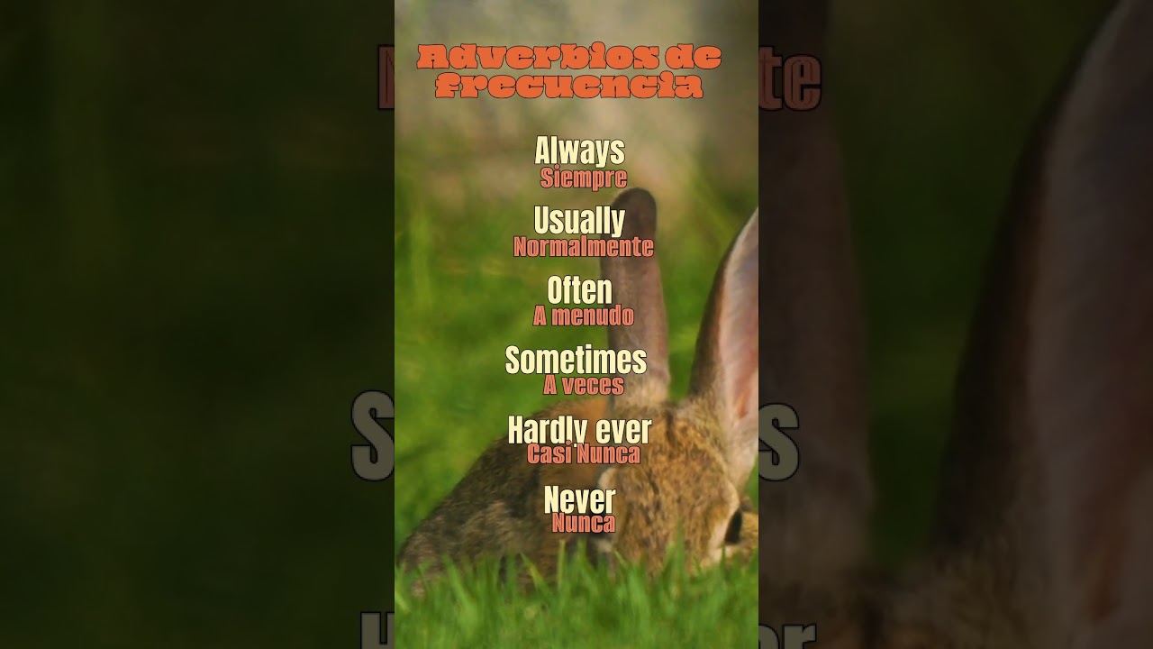 English - Spanish - Frequency adverbs, Adverbios de frecuencia