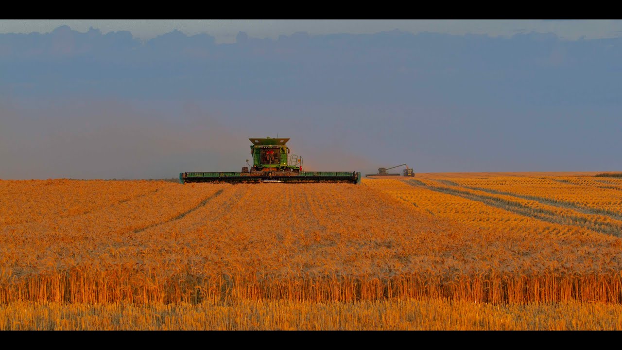 The transformation of the West Australian Sand plain country from 1t ha to 4t ha over 50 years.