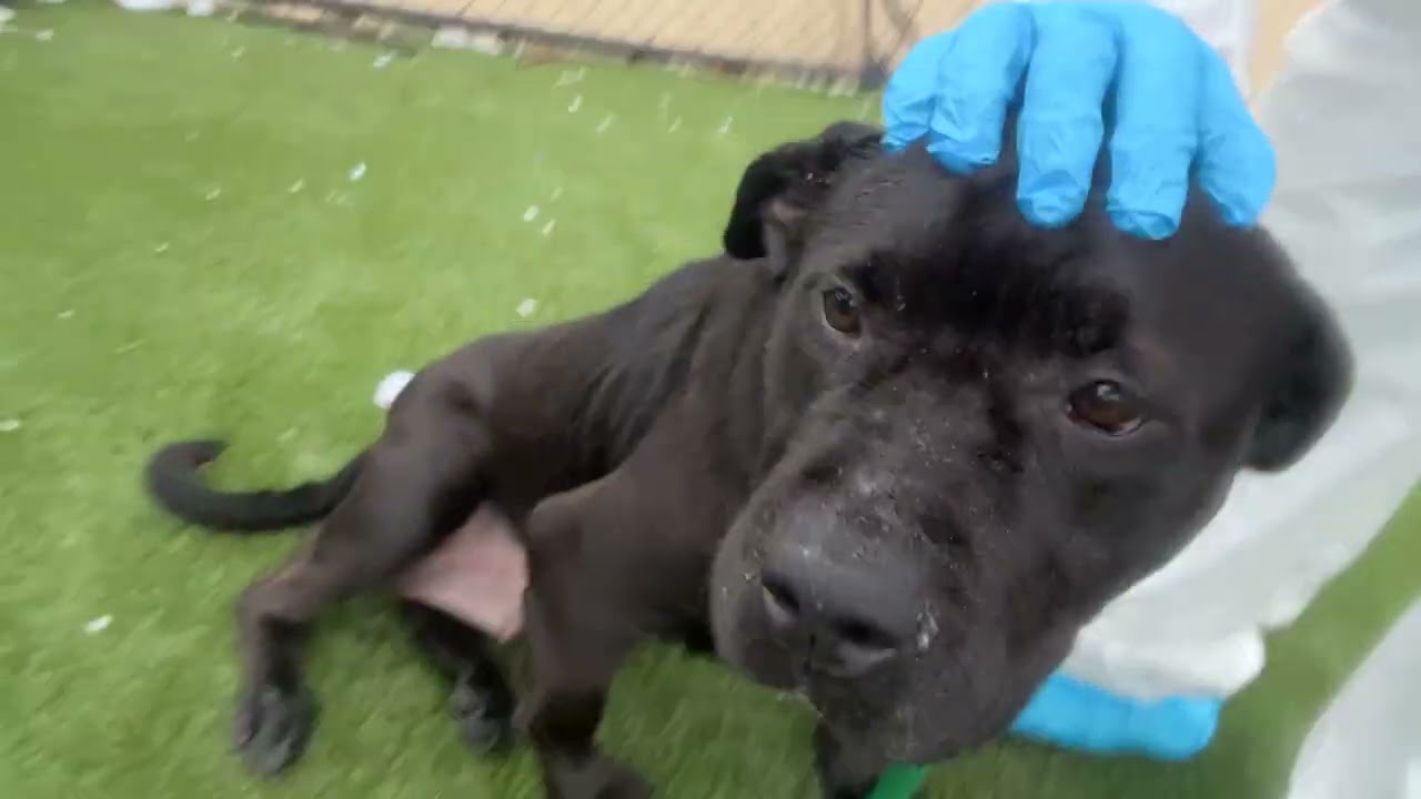 Lindley is such a sweet girl ❤️ 