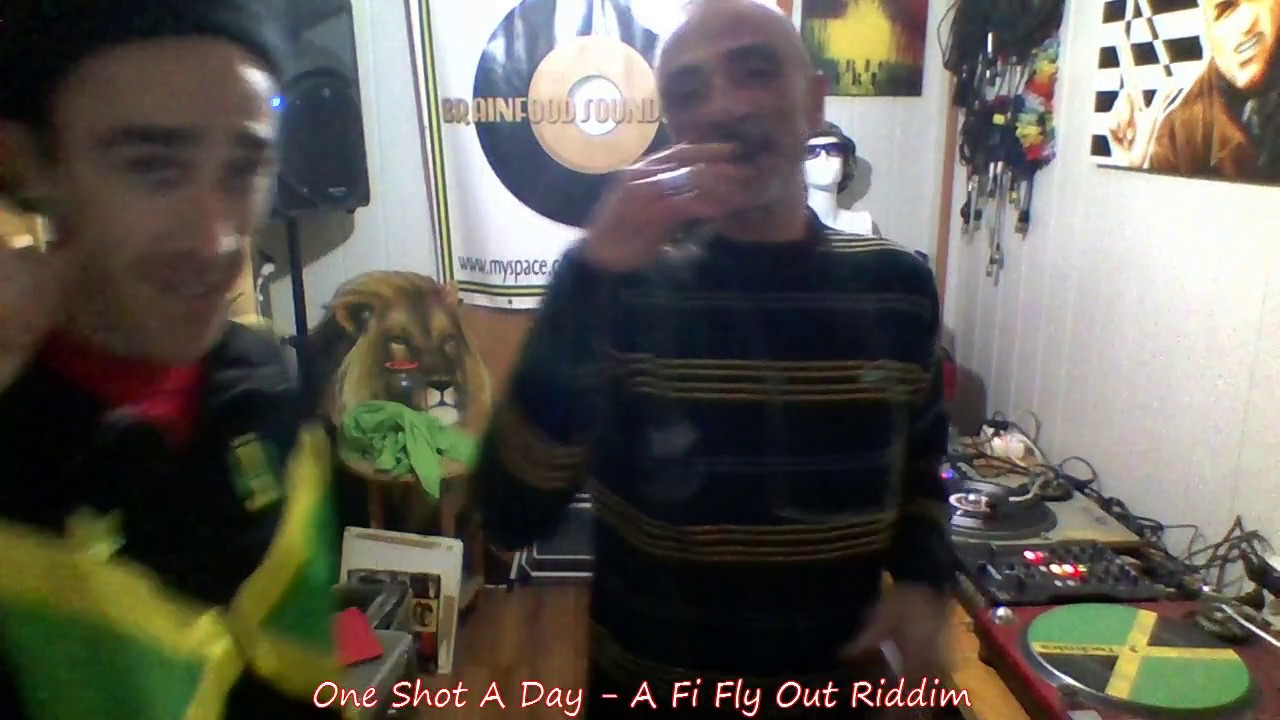 One Shot A Day 294  - A Fi Fly Out Riddim
