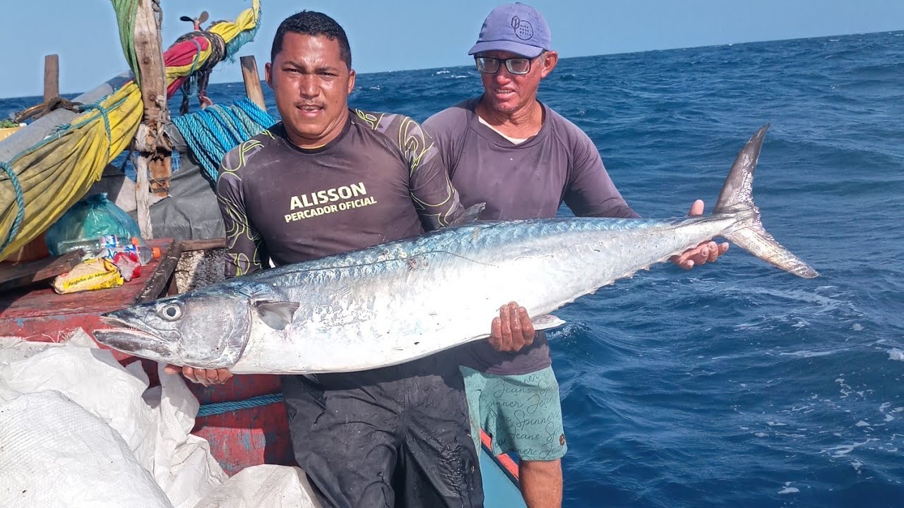 IMPORTANTE OTAMANHO DESSE PEIXE CAVALA DE 26 kg ESSA DEU TRABALHO 😱😯
