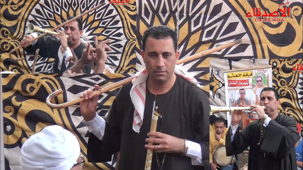 اغنيه يا رب توبه بالمزمار البلدي من الرئيس محمد العشه