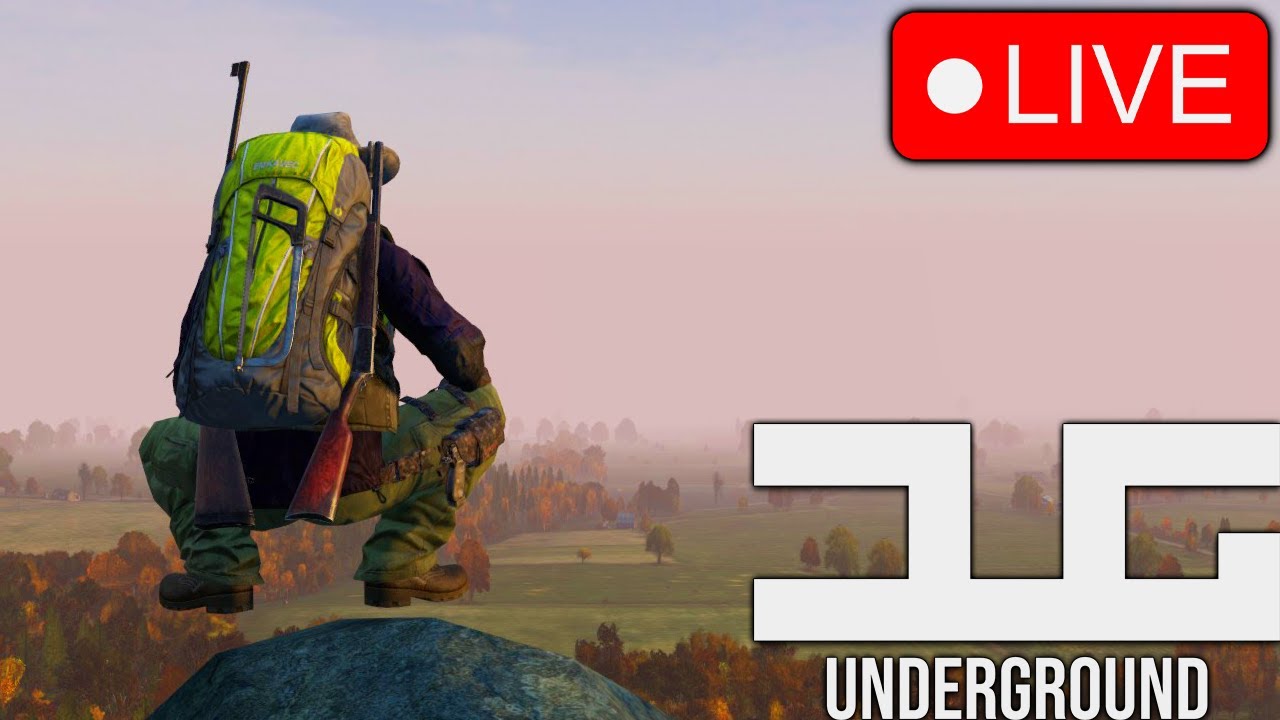 Getting Whimsical On DayZ's OLDEST Community Server | DayZ Underground