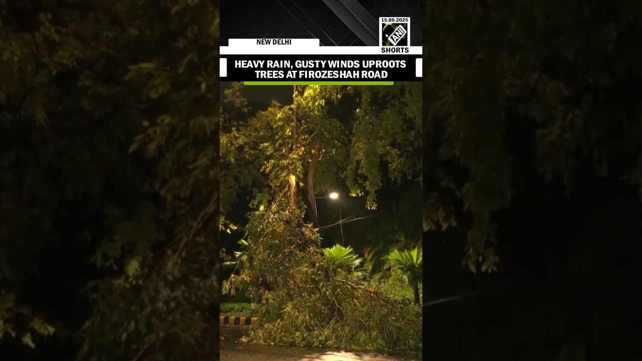 Heavy rain accompanied by strong wind at National Capital uproots several trees at Firozeshah Road