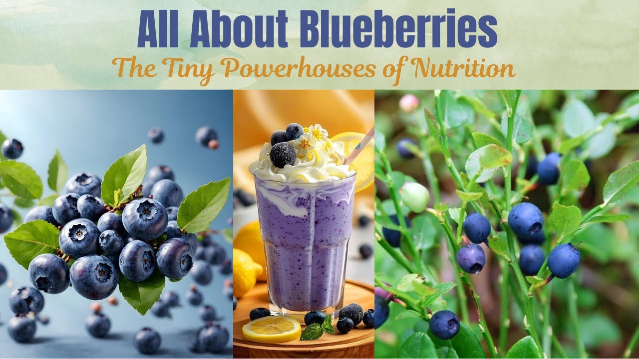 BLUEBERRY || All About Blueberries – The Tiny Powerhouses of Nutrition || Nature's Beauty