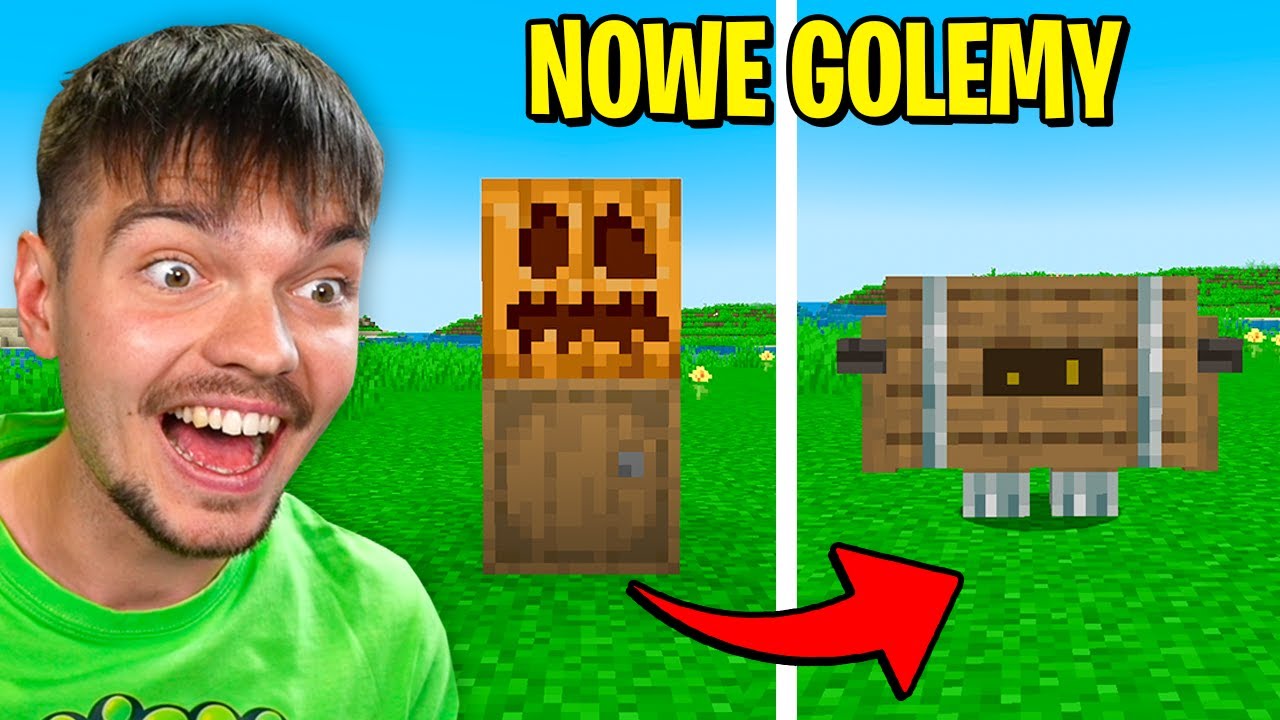 Dodałem MOD GDZIE MOGĘ STWORZYĆ każdego GOLEMA!