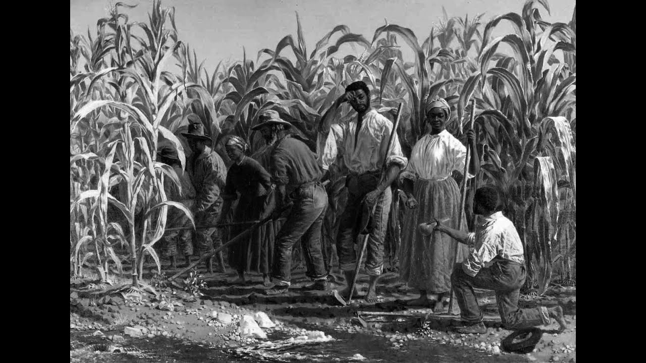 Slavery and the Three-Fifths Compromise, by Professor John Kaminski