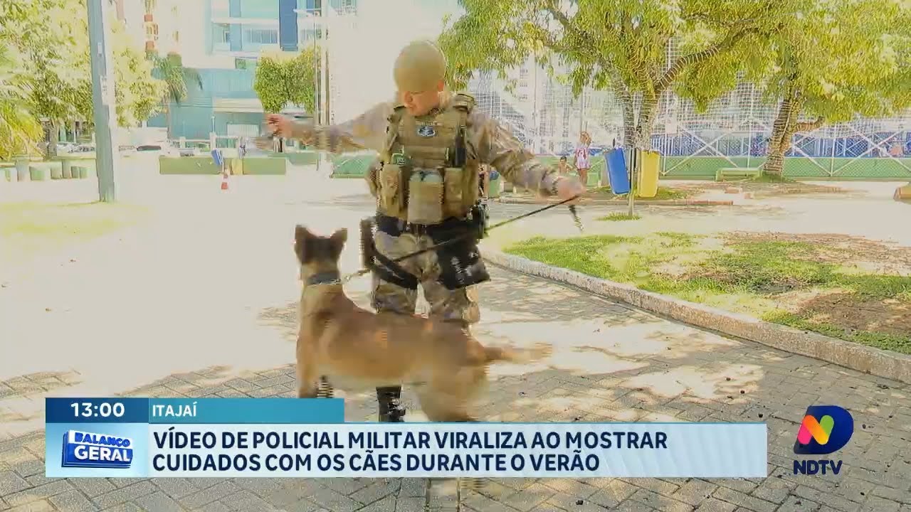 Vídeo de Policial Militar viraliza ao mostrar cuidados com os cães durante o verão em Itajaí