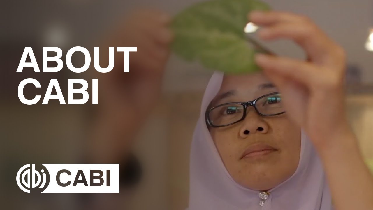 About CABI