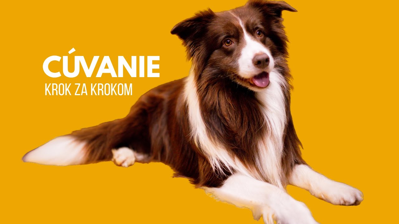 Cúvanie krok za krokom ┃ Backing up - step by step