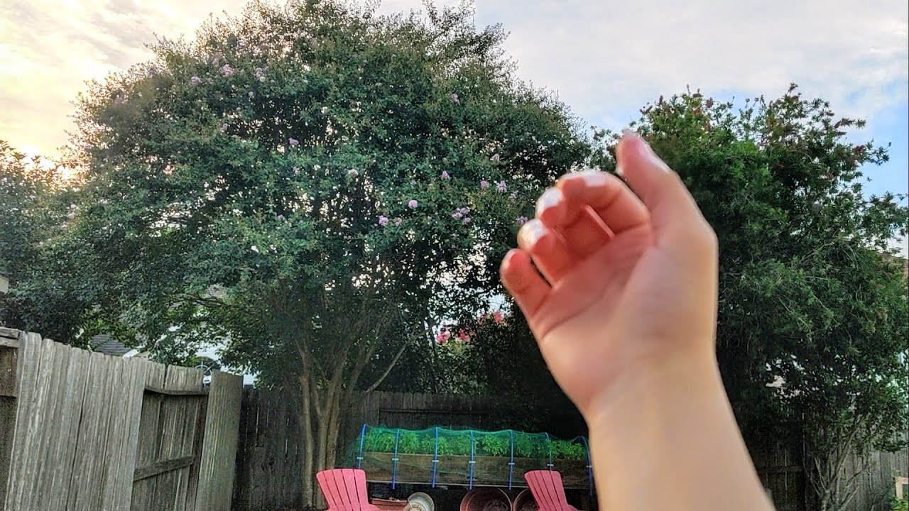 ASMR Fast and Aggressive Camera Tapping Outside! (Lofi, No Talking)