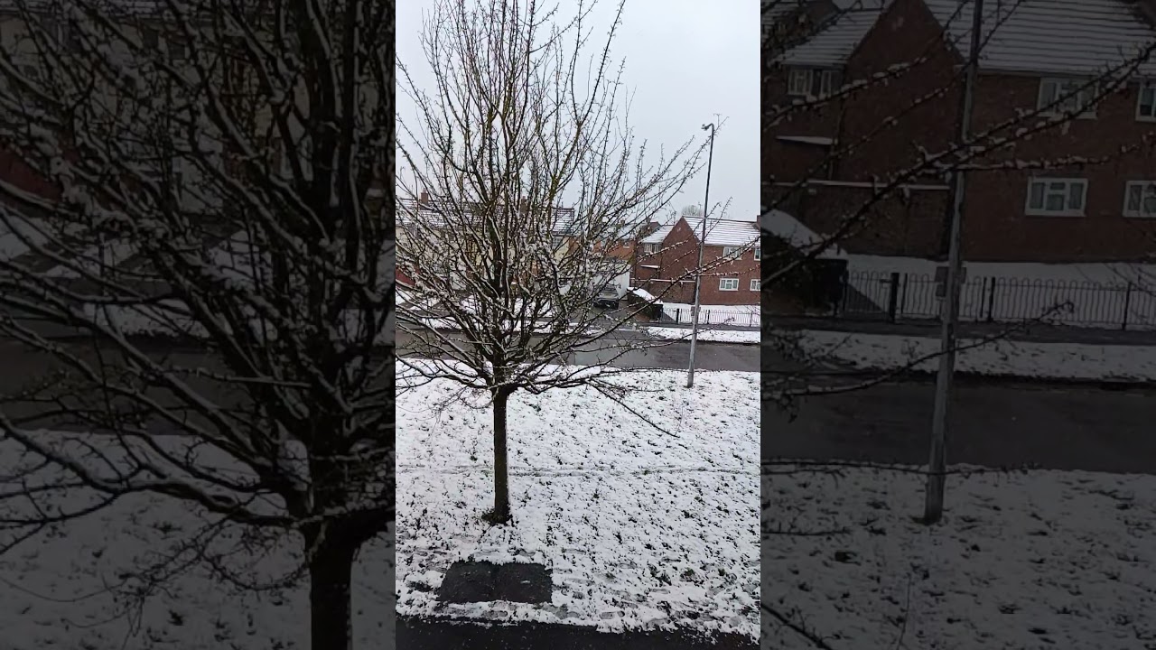 Winter scenes in Uk #ukmalayali #winterdays #malayali