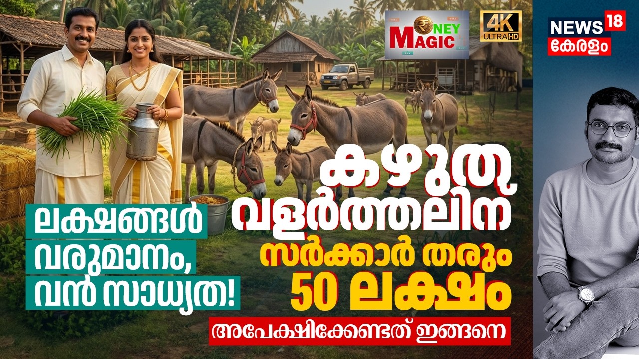 ലക്ഷങ്ങൾ വരുമാനം, വൻ സാധ്യത! Donkey വളർത്തലിന് കേന്ദ്ര സർക്കാർ തരും 50 ലക്ഷം രൂപ Money Magic 4K|N18V