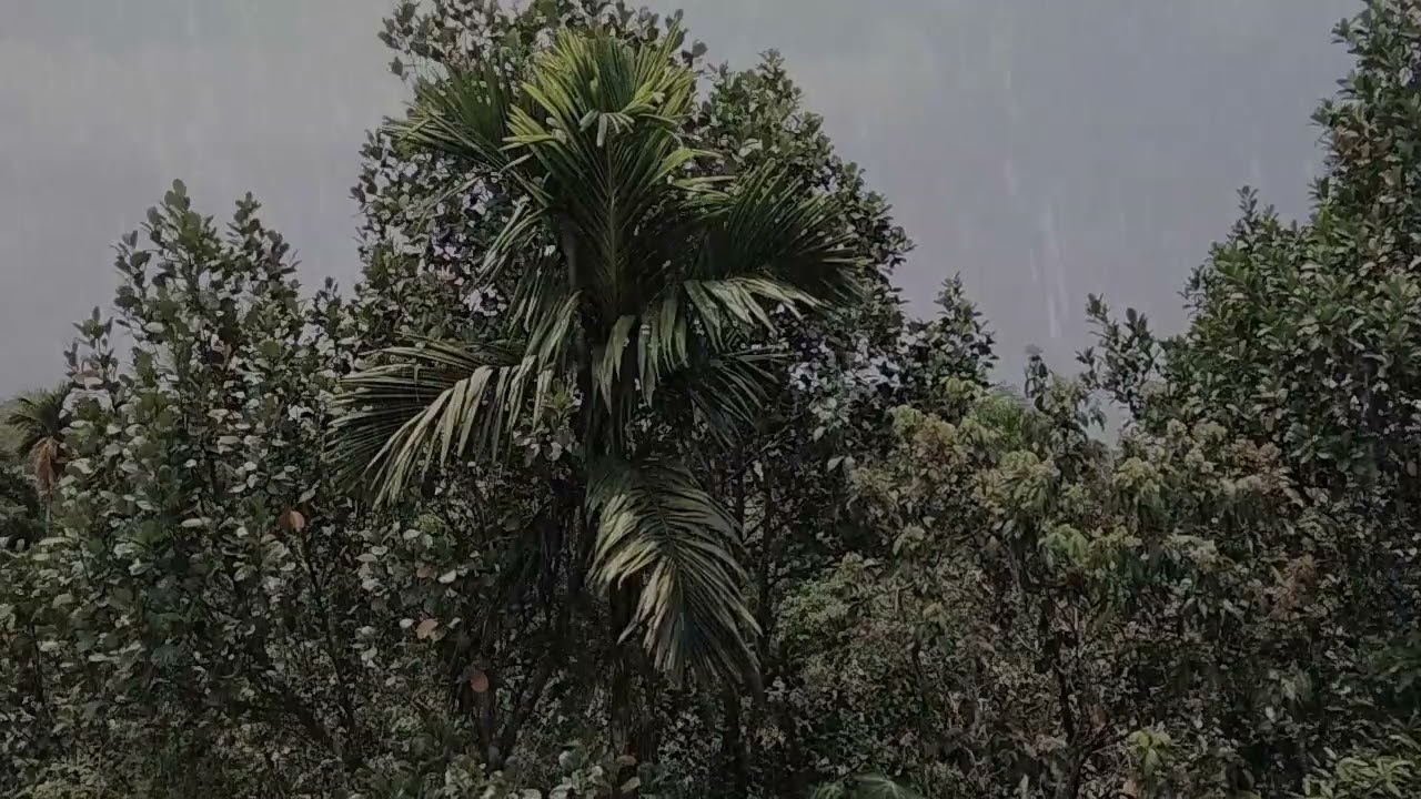 heavy sounds of rain and thunder | rain sounds