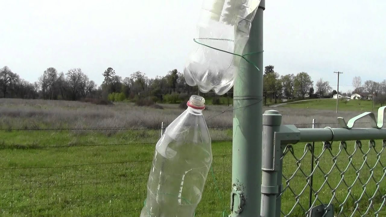 Dyneema Aeolian Harps