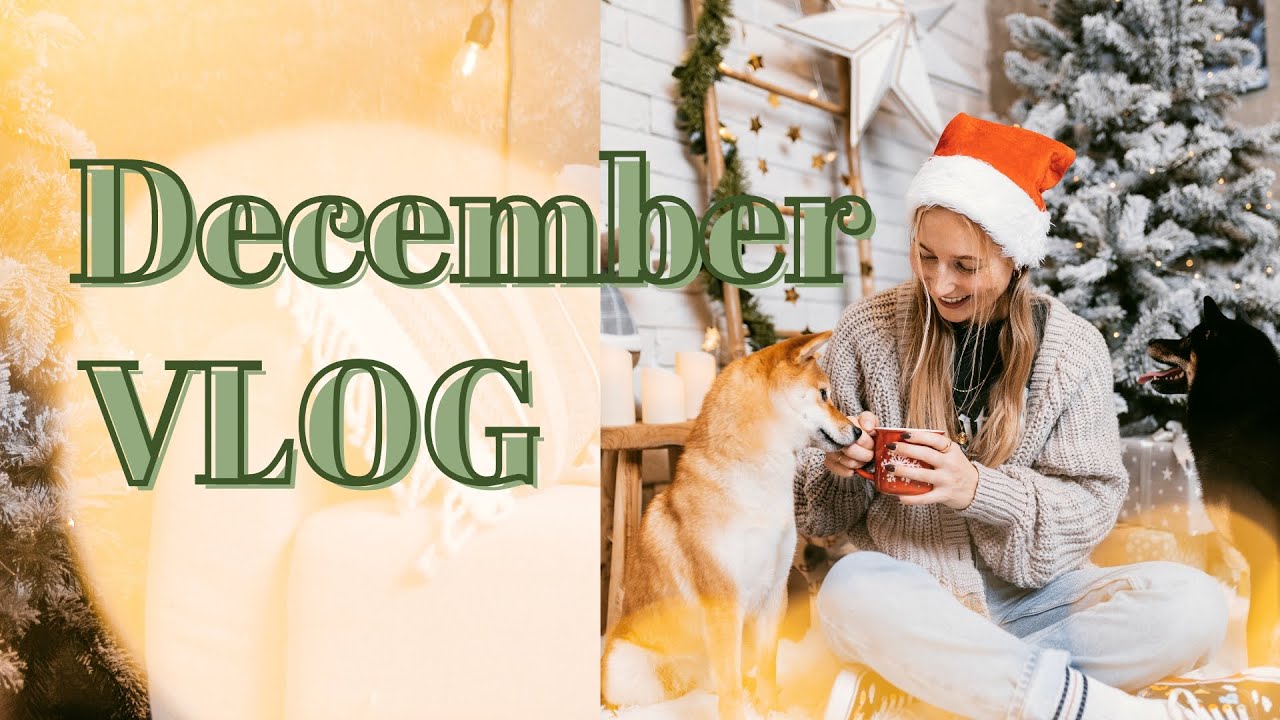 Shiba Inu VLOGMAS 🎄🎅🏼 First snow ❄️ Off leash walk 🐕, Game Night ⚽️🍕