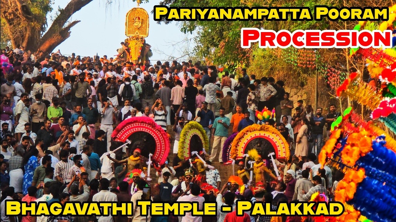 Pariyanampatta Pooram Procession🐘| Bhagavathi Temple Palakkad | Hundred of Steps One Divine Descent🔥