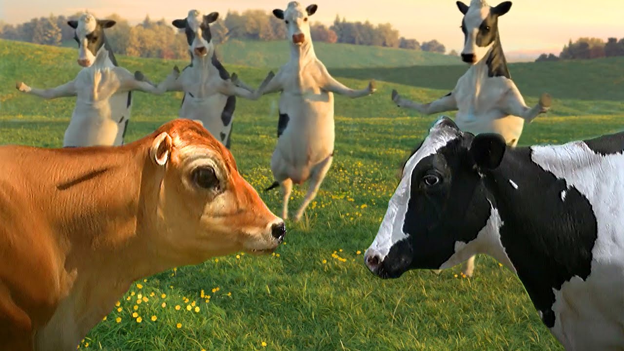 FUNNY COW DANCE │ Cow Dance Song & Amazing Animals (Crazy Official Music Video)