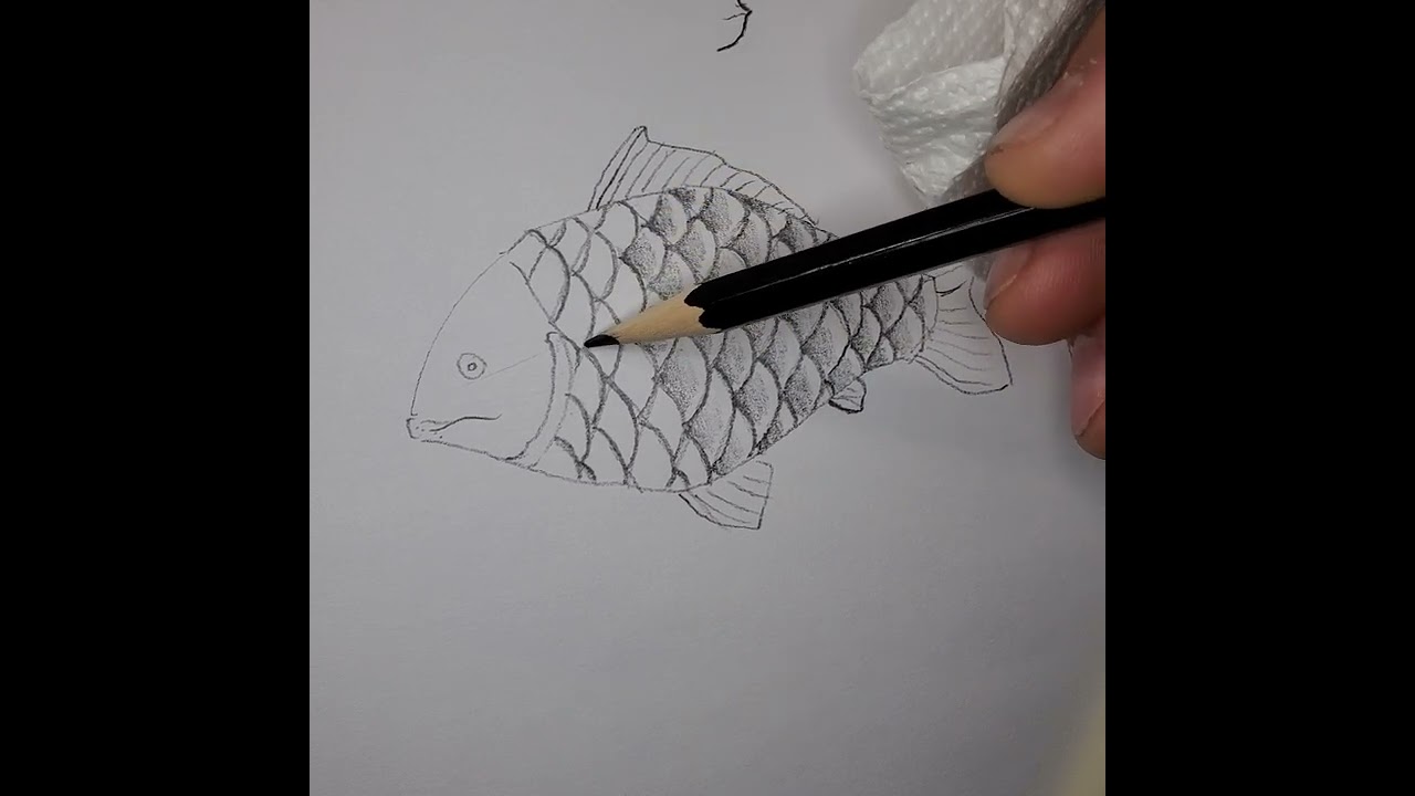 Drawing scales on a fish