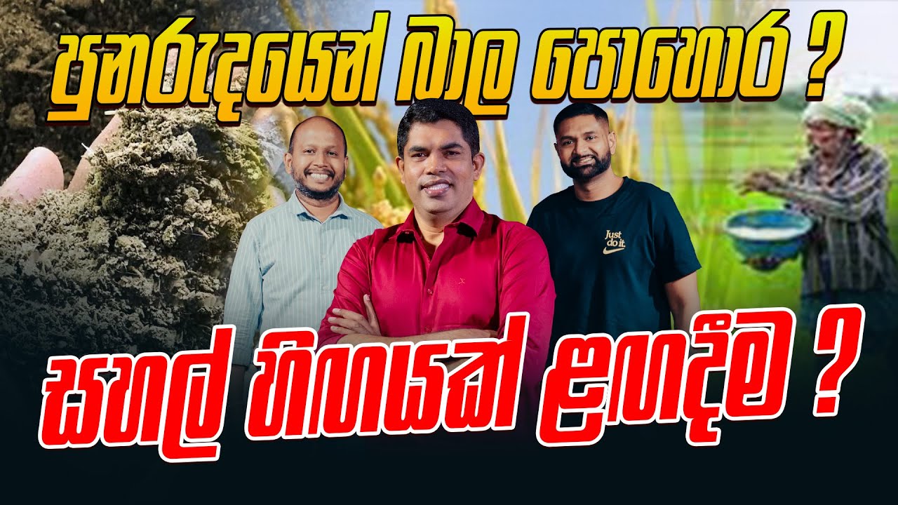 පුනරුදයෙන් බාල පොහොර ? සහල් හිඟයක් ළඟදීම ?