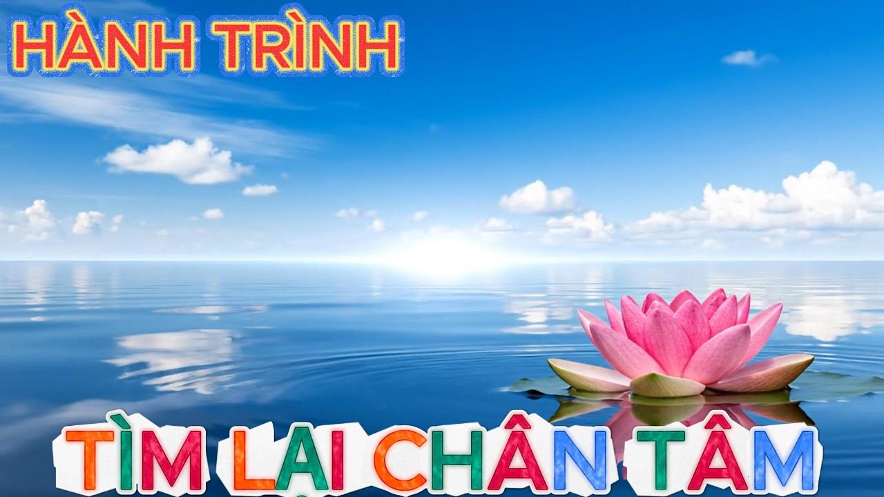 🧘♂️🪷🔔 Hành Trình Tìm Lại Chân Tâm: Trở Về Hiện Tại, Buông Bám Chấp, An Yên Giữa Đời