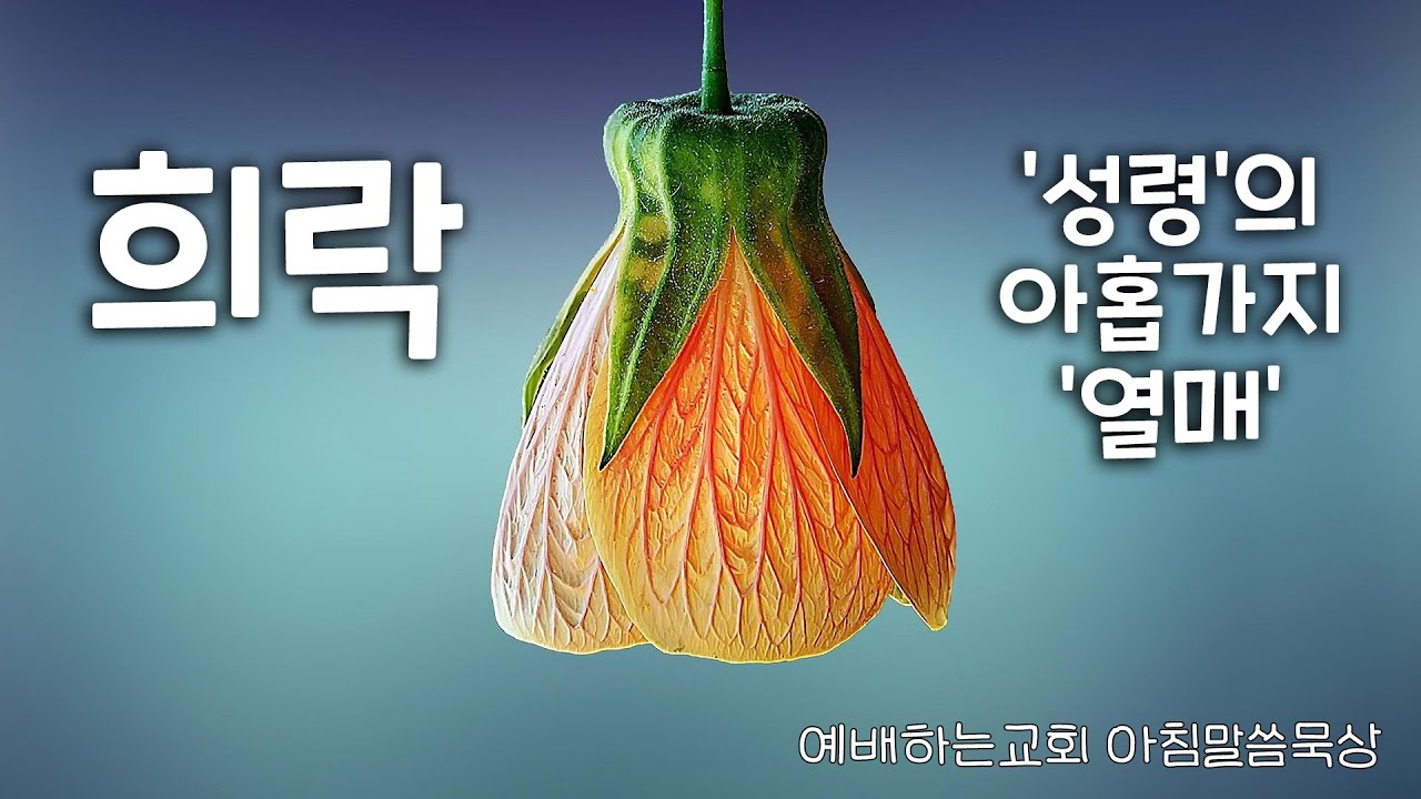 예배하는교회 / 아침말씀묵상 / 성령의 아홉가지 열매 / 희락 1 / 희락은 소망에서 시작됩니다 / 서동일 목사