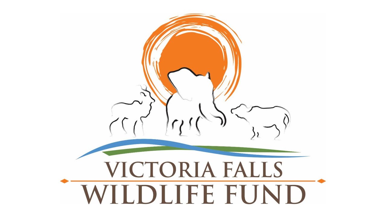 An Evening with Victoria Falls Wildlife Trust