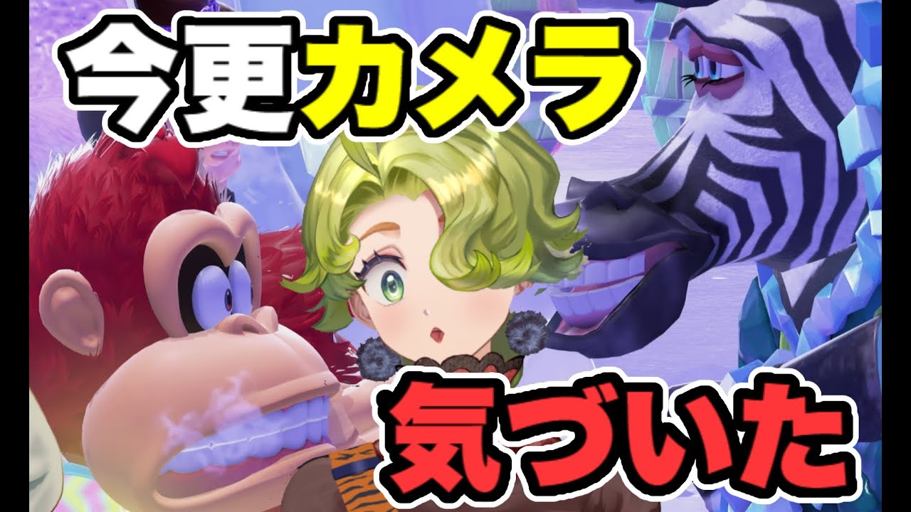 カメラ機能で楽しむゲームだ！！！│ドンキーコングバナンザ│part１０