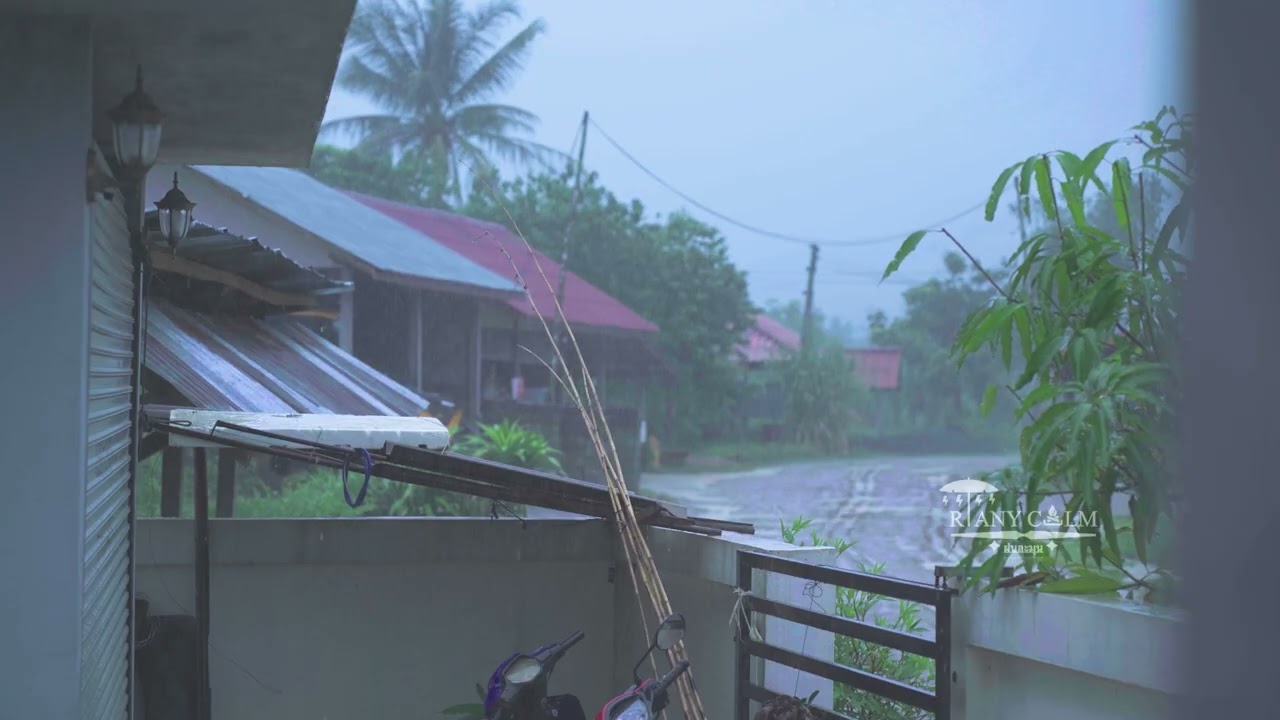 เสียงฝนตกในชนบท  และ  นกร้องดัง เสียงกบ เสียงฟ้าร้อง  เพลินๆ หลับสบาย
