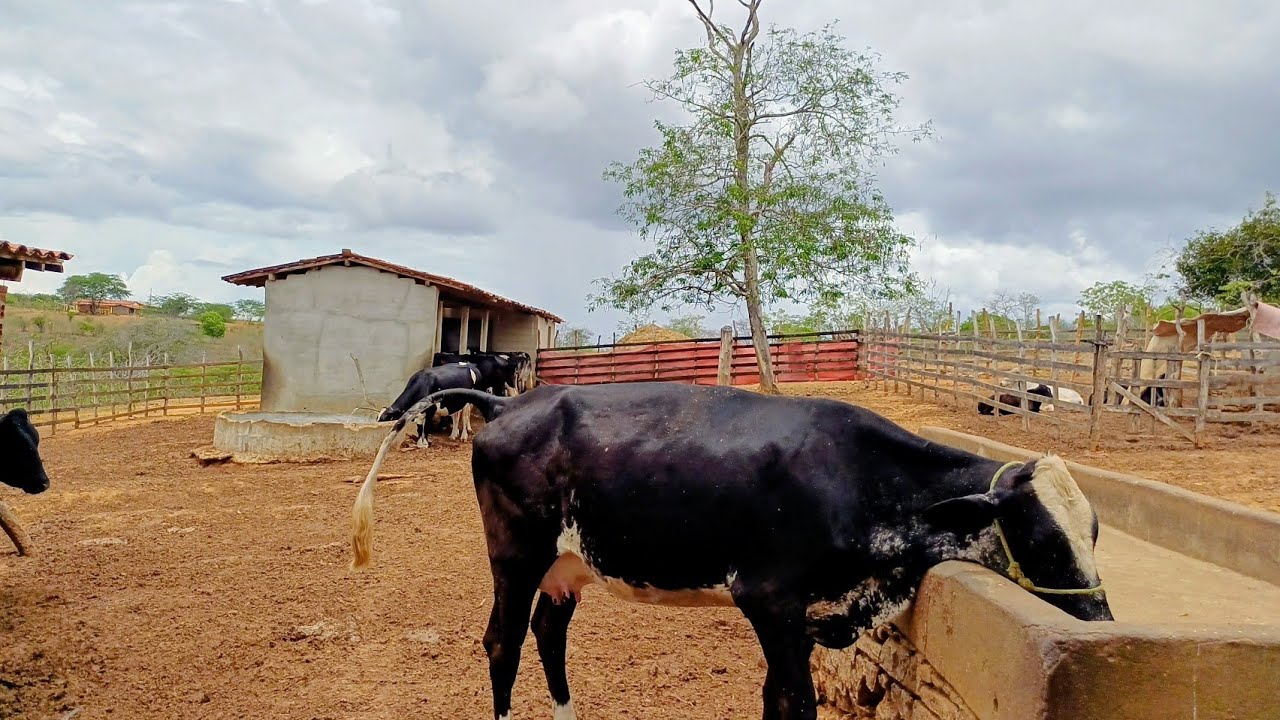 MAIS UMA SEMANA DE TRABALHO COMCLUIDA, DE NOSSA ROTINA. 