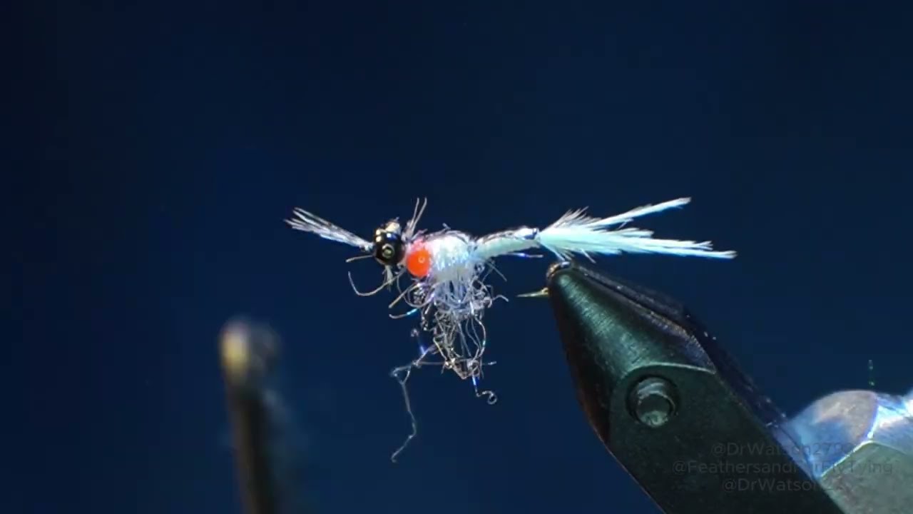 Bam's Mysis Shrimp Fly Tying Video