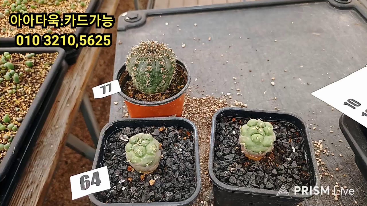 1월28일 한그릇 씩  드세요   만원   굿모닝 ~~~~