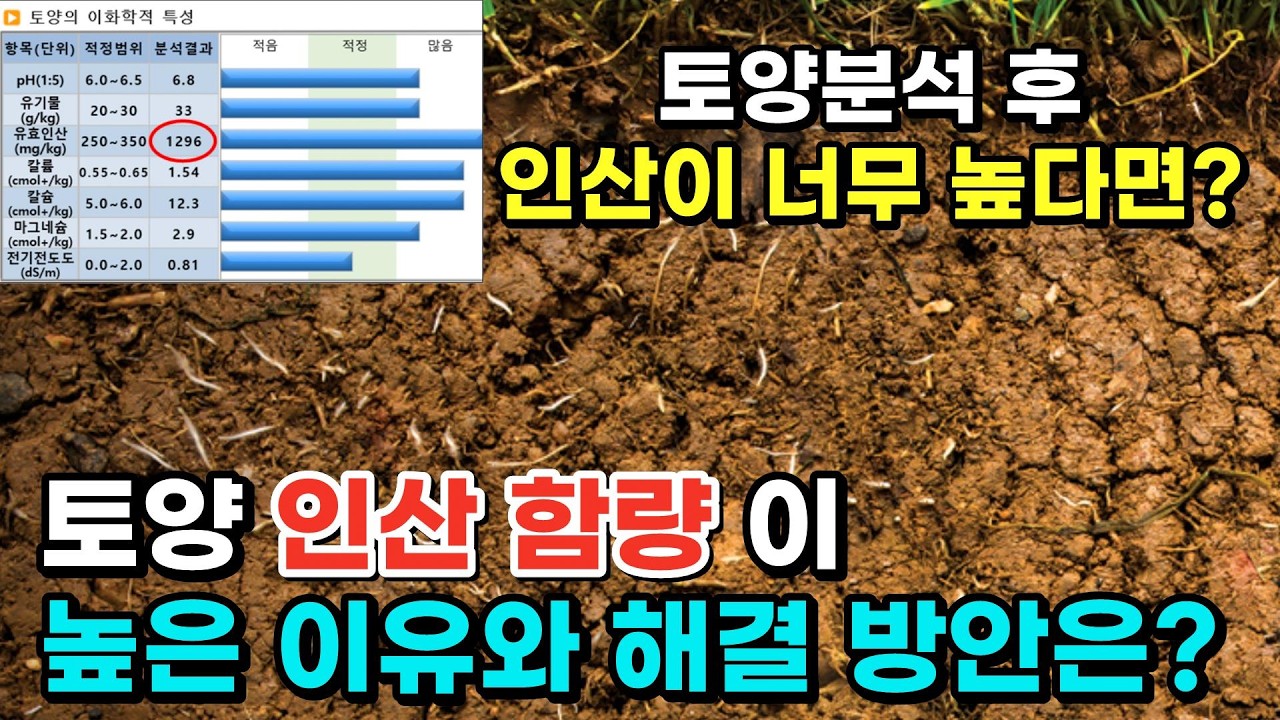 토양 속 인산이 너무 높으면 어떻게 해야할까요?