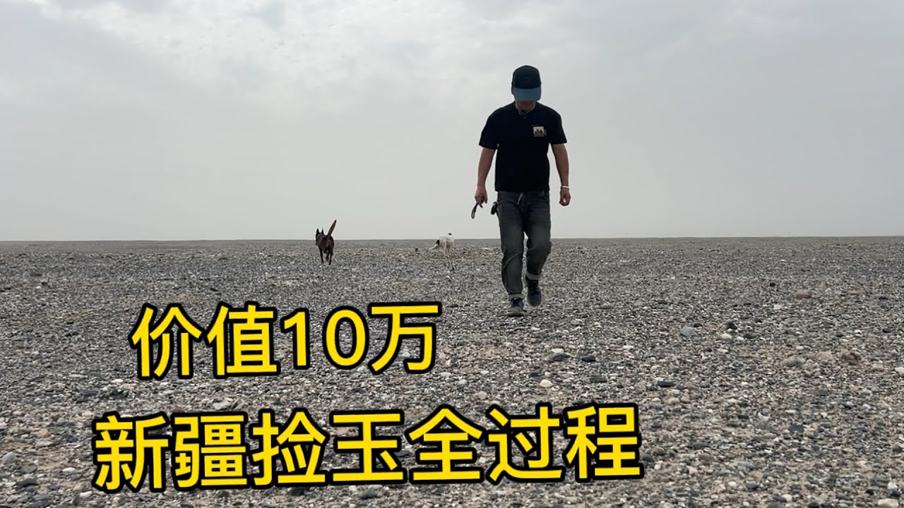 鐵牛旅行記533集/帶著狗在新疆自駕游撿到10萬的玉石，完整的路線地點公佈出來供大家參考，你說石榴撿的玉石會比我撿的值錢嗎？#環遊中國 #自驾游 #艾伦 #狗是人類最忠誠的朋友