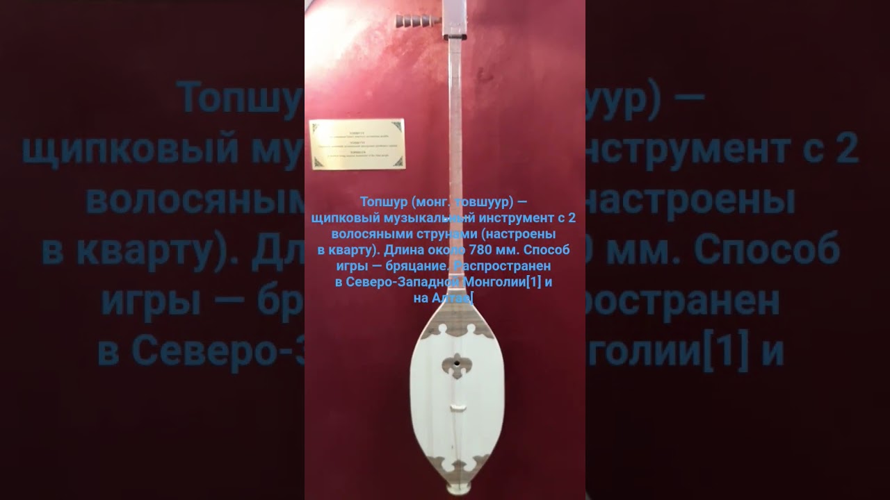 Топшуур - Topshuur