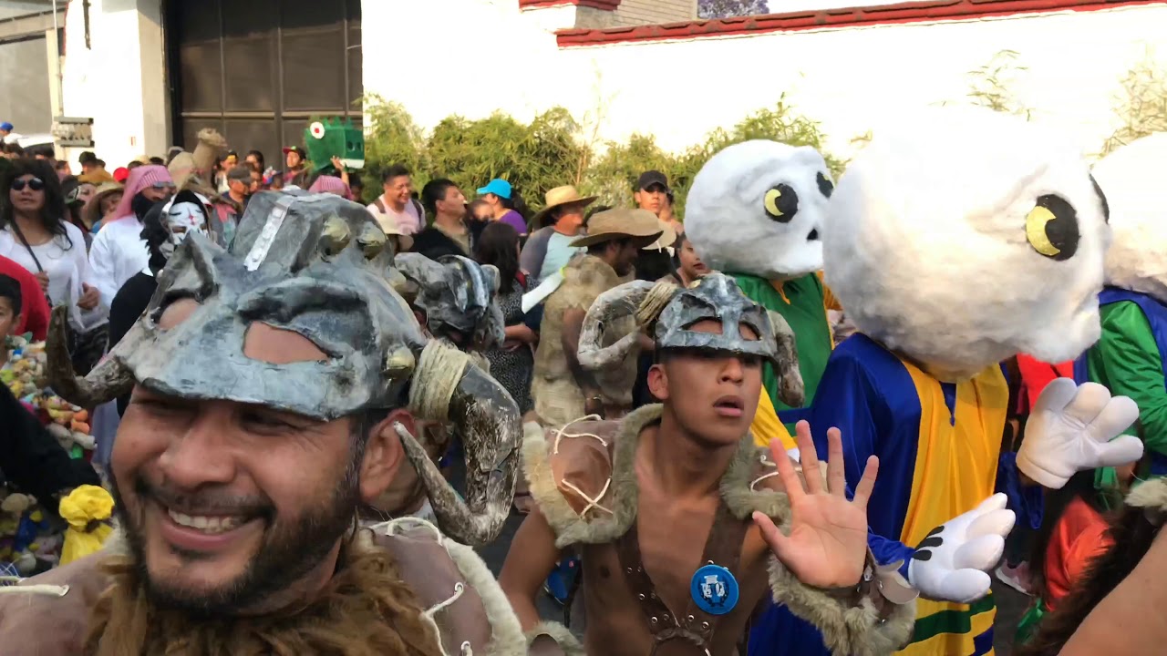 Comparsa Chupamaros Carnaval Tlaltenco 2019 | 4K UHD