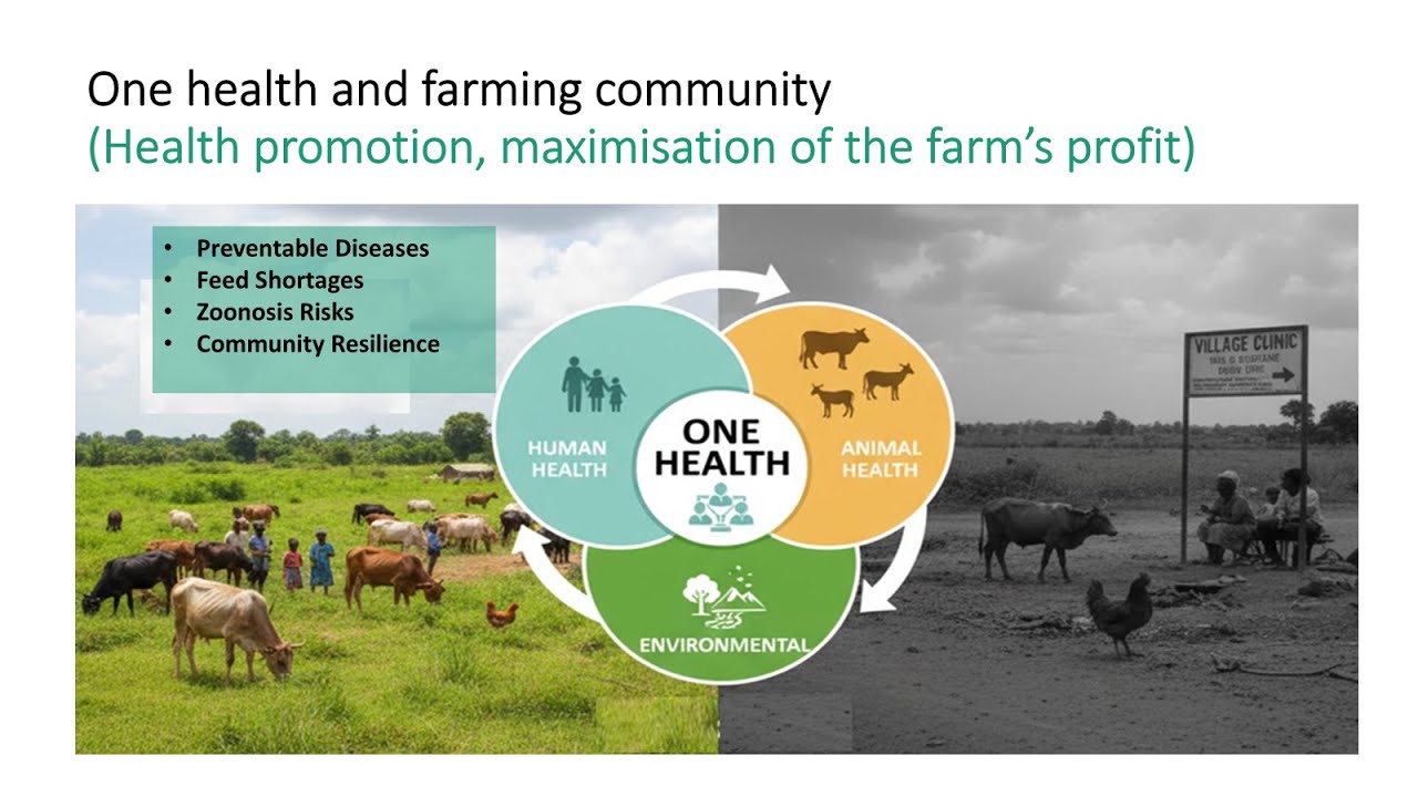 TRAINING IN ONE HEALTH & LIVESTOCK FARMING COMMUNITIES: BUILDING RESILIENCE EPISODE 3